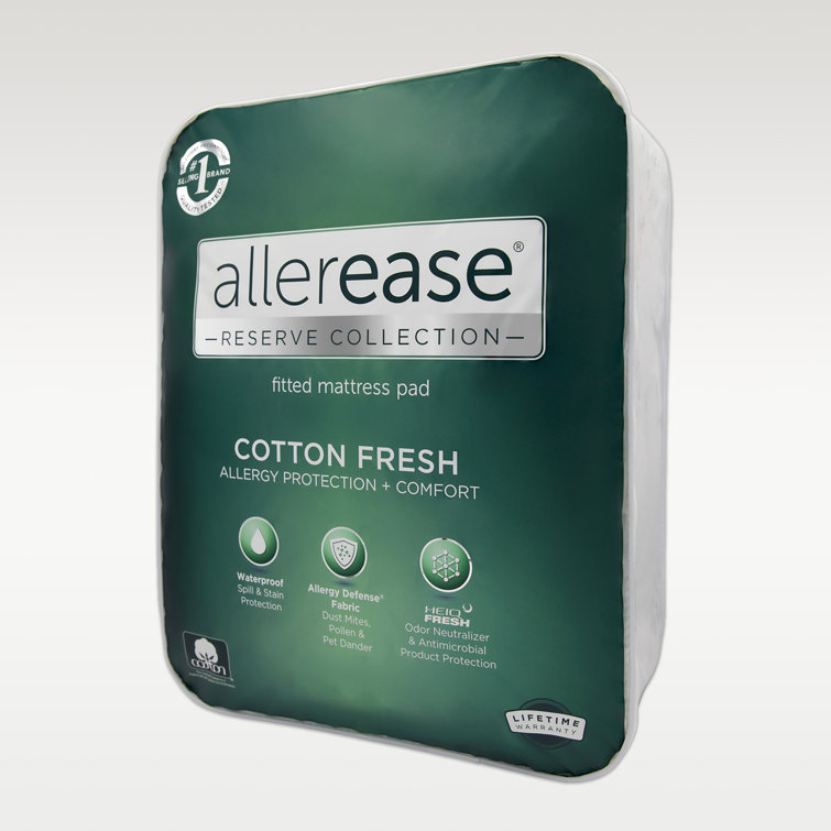 AllerEase 0.25'' Mattress Pad & Reviews Wayfair Canada